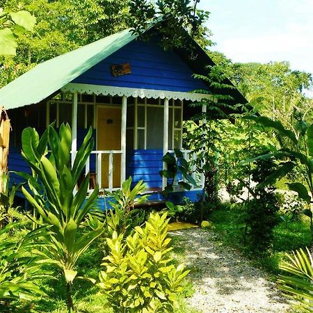 Hotel Casitas Mar Y Luz Puerto Viejo de Talamanca Zewnętrze zdjęcie