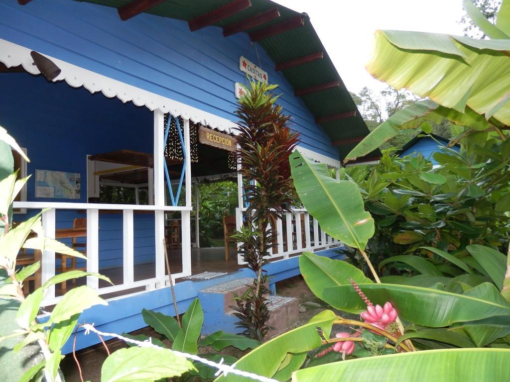 Hotel Casitas Mar Y Luz Puerto Viejo de Talamanca Zewnętrze zdjęcie