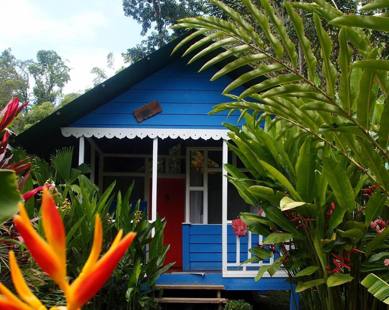 Hotel Casitas Mar Y Luz Puerto Viejo de Talamanca Zewnętrze zdjęcie