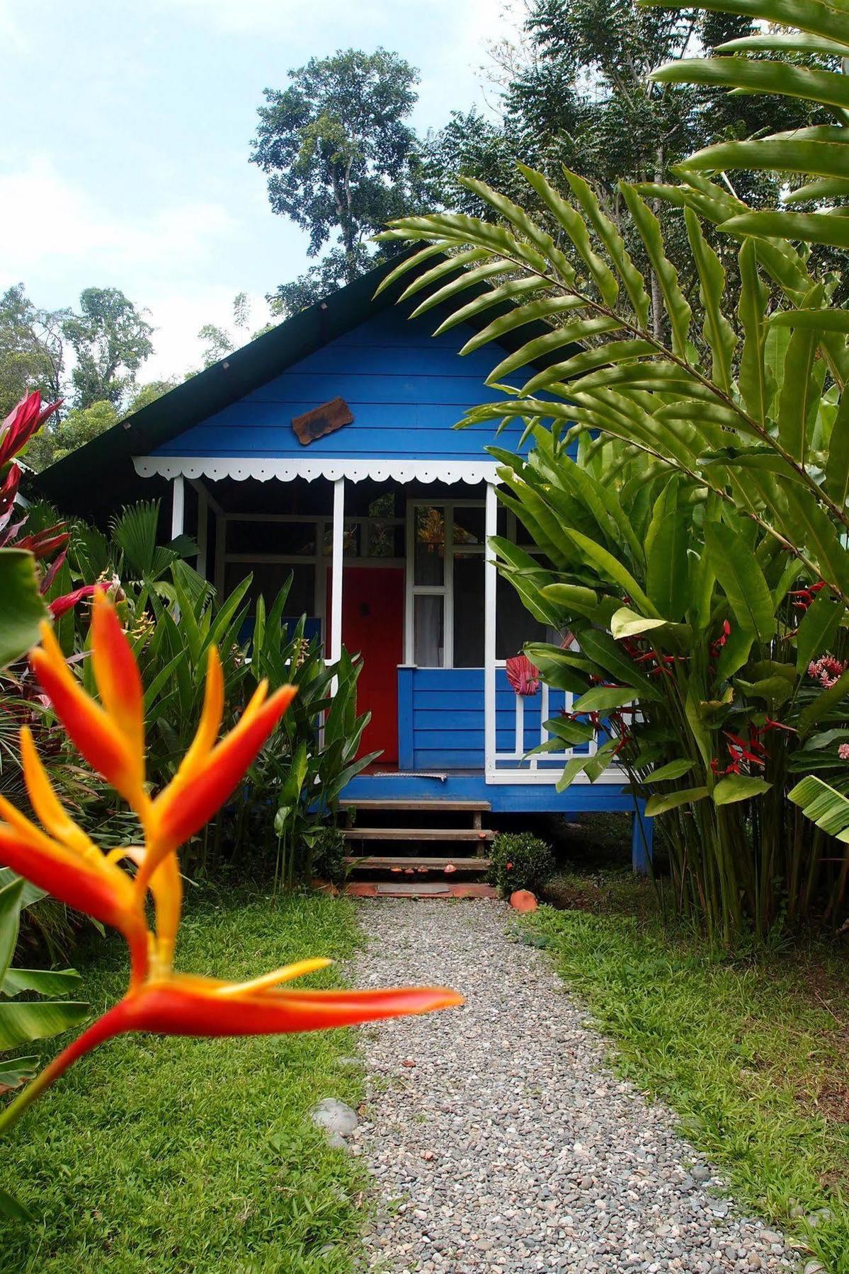 Hotel Casitas Mar Y Luz Puerto Viejo de Talamanca Zewnętrze zdjęcie