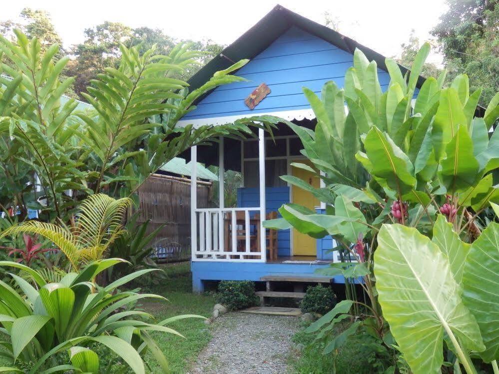 Hotel Casitas Mar Y Luz Puerto Viejo de Talamanca Zewnętrze zdjęcie